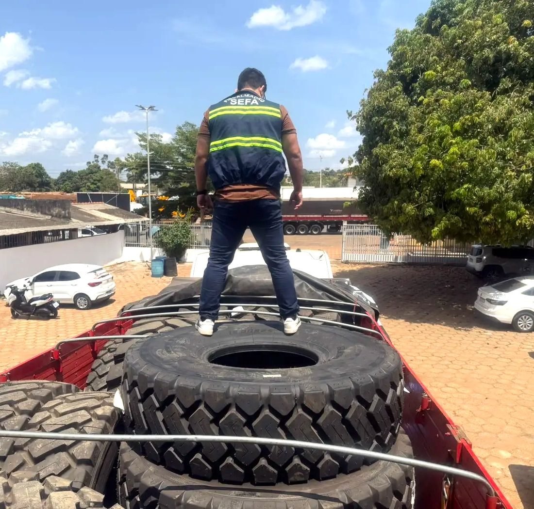 SEFA apreende cargas de açaí, farinha de trigo e peças automotivas em operações no Pará