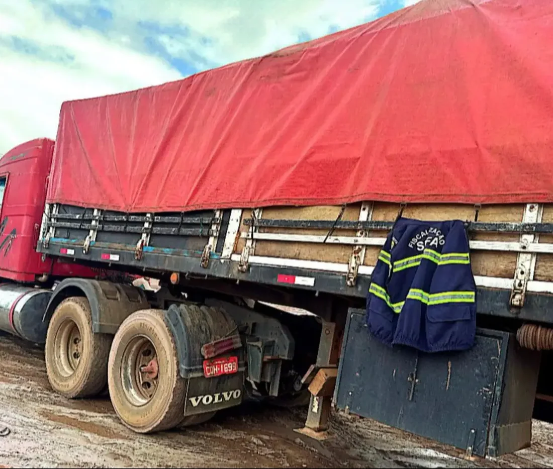 300 hectolitros de castanha-do-pará avaliados em R$ 150 mil são apreendidos pela SEFA no sudeste do Estado